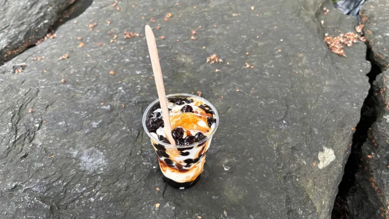 Roasted Boba Ice Cream